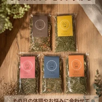 画像261